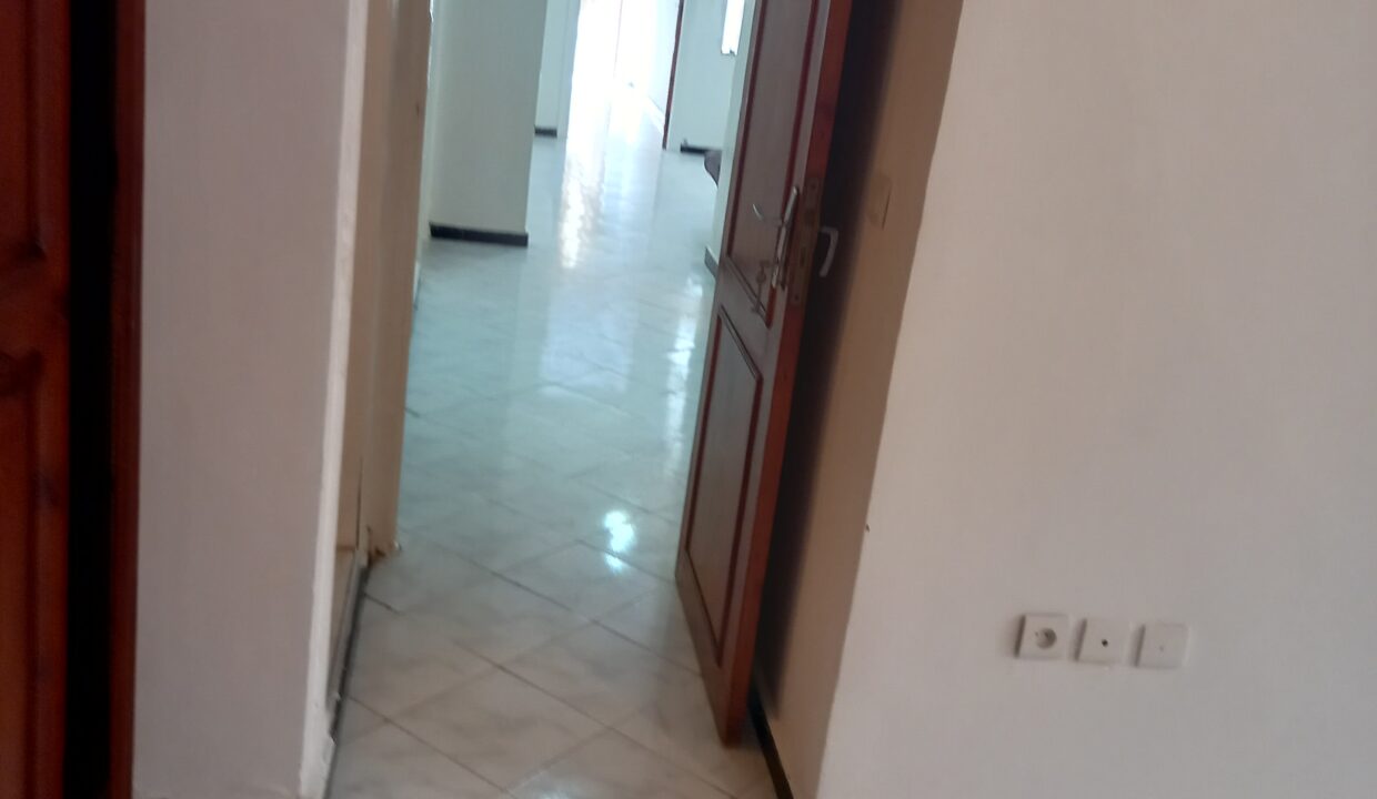 20221003_142554